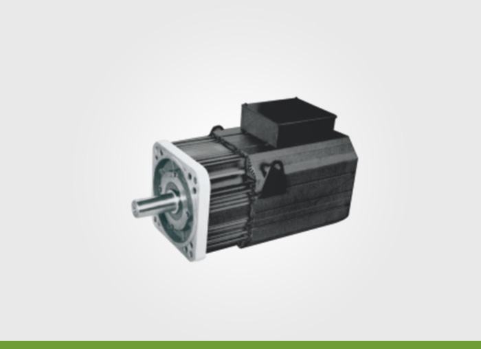 250 series servo motor three-phase AC380V-8 pole